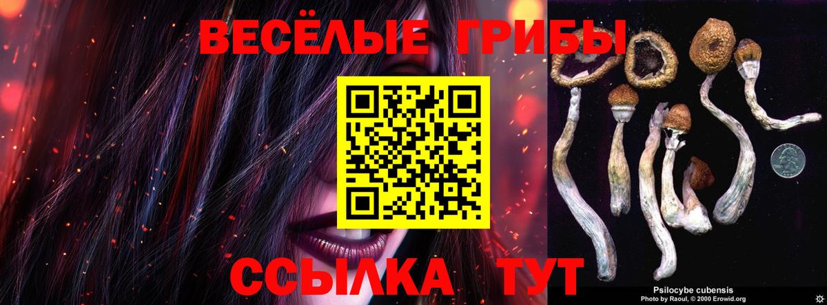 Галлюциногенные грибы MAGIC MUSHROOMS  Галлюциногенные грибы мицелий  Жуковский  Вход с VPN 