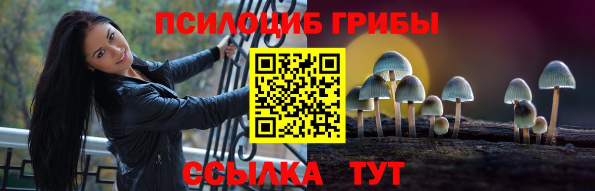 Галлюциногенные грибы прущие грибы Жуковский